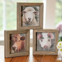 Farm Animal Mini Portrait Frame 3 Asstd - The Fox Decor