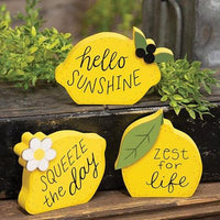 3 Set Lemon Sayings Chunky Sitters - The Fox Decor