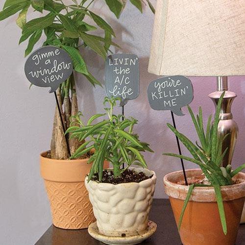 House Plant Sayings Stake 3 Asstd