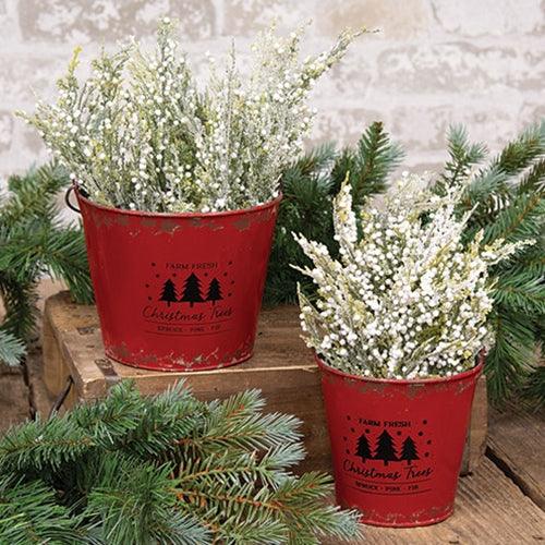 2 Set Farm Fresh Christmas Trees Distressed Red Metal Buckets