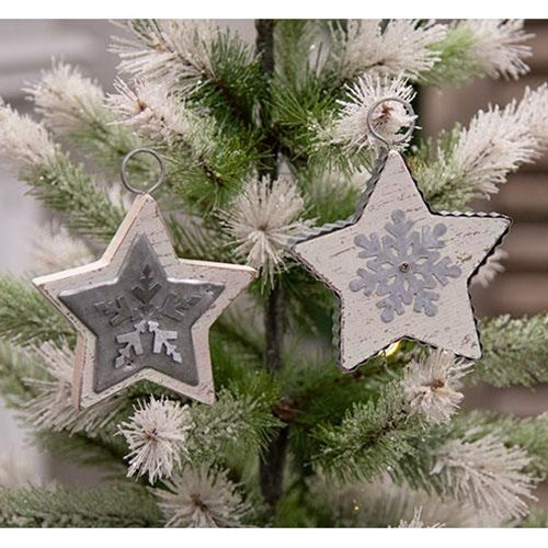 Galvanized Star Ornament 2 Asstd