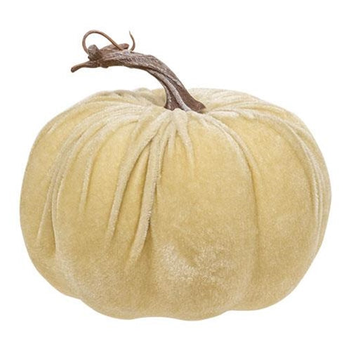 Cream Velvet Pumpkin 65