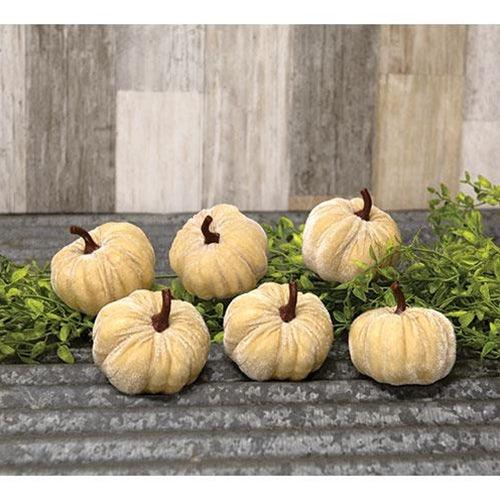 6 Set Mini Velvet Beige Pumpkins - The Fox Decor
