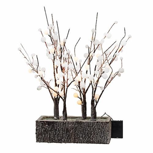 Snowball Trees in Woodland Box w LED Lights - The Fox Decor