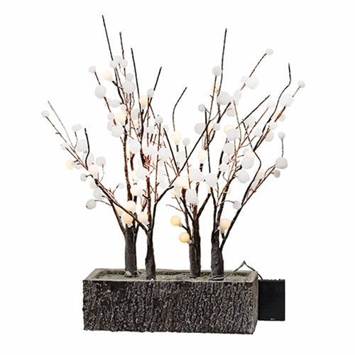 Snowball Trees in Woodland Box w LED Lights