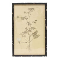 Thumbnail for Headly Garden Botanical Print # 2 - The Fox Decor