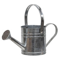 Thumbnail for Galvanized Metal Watering Can - The Fox Decor