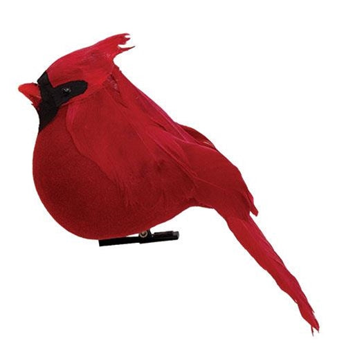 Fat Feathered Cardinal Clip