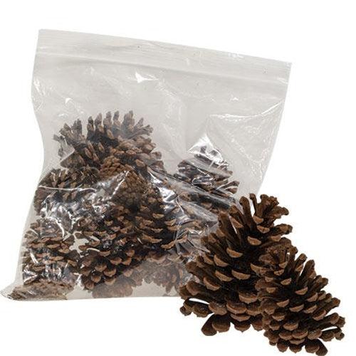 10 Bag Natural Ponderosa Pine Cones - The Fox Decor
