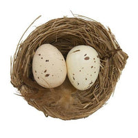 6 Set Natural Eggs in Nests - The Fox Decor