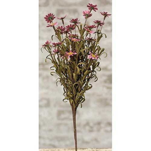 Mini Mountain Daisy Bush Pink - The Fox Decor