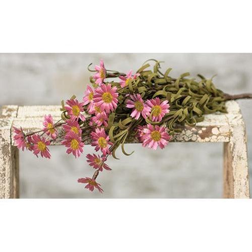 Mini Mountain Daisy Bush Pink - The Fox Decor