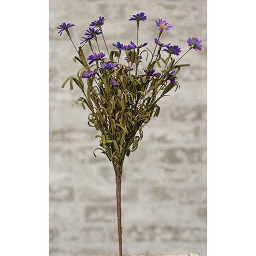 Mini Daisy Bush Mini Mountain Daisy Bush Purple – The Fox Decor