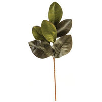 Thumbnail for Elegant Magnolia Leaves Pick 20 - The Fox Decor