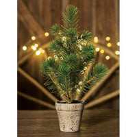 Potted Sierra Pine Tree - The Fox Decor