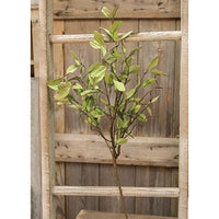 Sage Leaves & Twigs Spray 25 - The Fox Decor