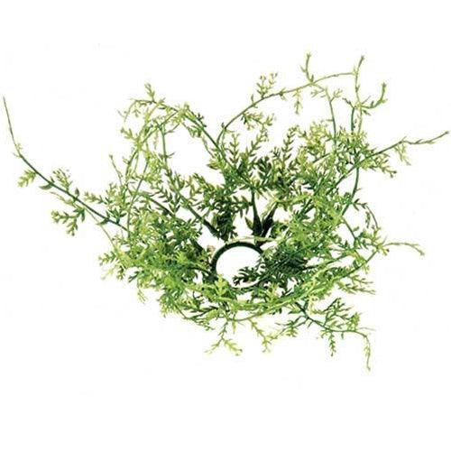 Fine Grass Ring 1 Dia - The Fox Decor