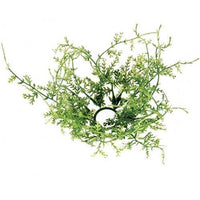 Thumbnail for Fine Grass Ring 1 Dia - The Fox Decor