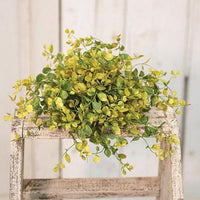 Bog Pimpernel Half Sphere 12 - The Fox Decor