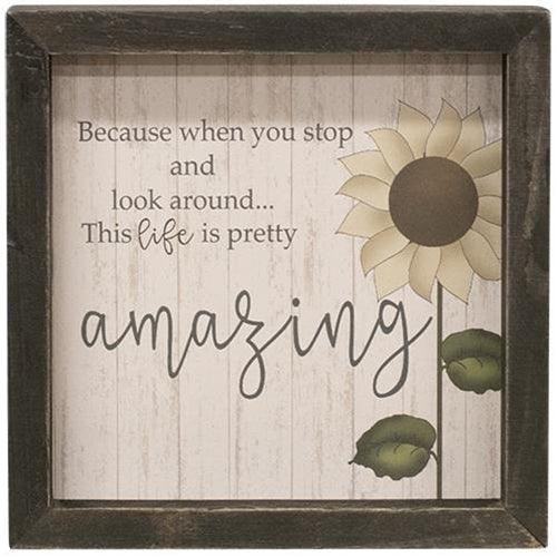 Life Is Amazing Framed Sign - The Fox Decor
