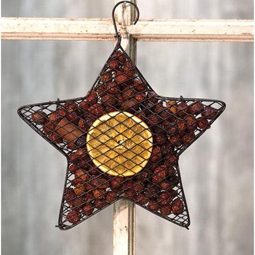 Wire Mesh Star w Orange Potpourri 9 - The Fox Decor
