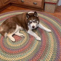 Thumbnail for Joseph's Coat 710-JC Braided Rugs - The Fox Decor