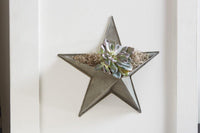 Thumbnail for Star Wall Pocket - Galvanized - Park Designs - The Fox Decor