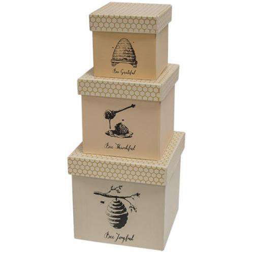 3/Set, Bee Joyful Boxes Containers CWI+ 