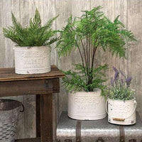 Thumbnail for 3/Set, White Farmer's Market Buckets - The Fox Decor