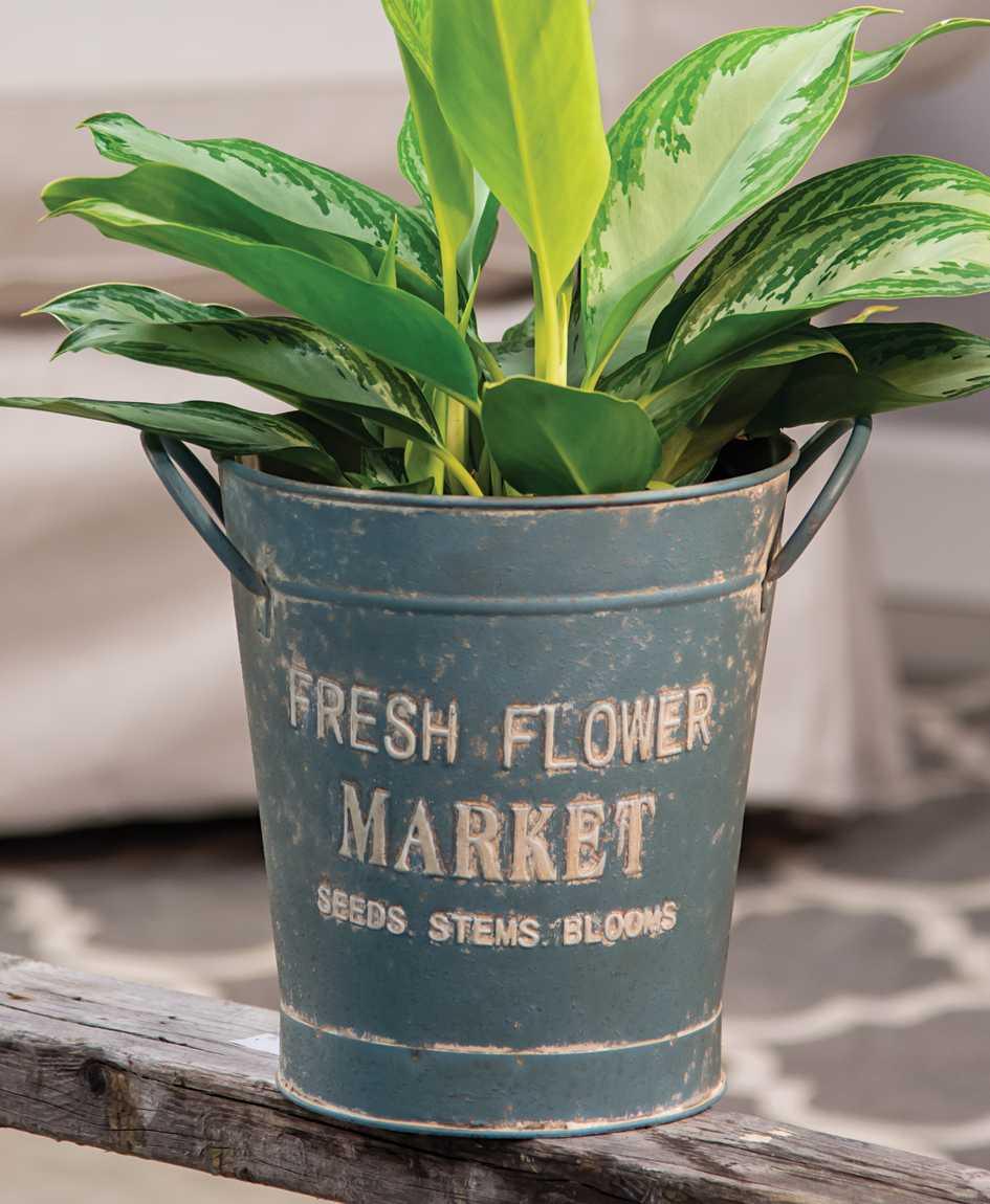 Vintage Fresh Flower Market Bucket - The Fox Decor