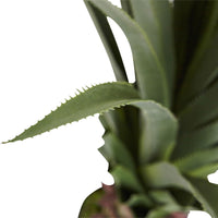 Thumbnail for Spiked Agave Plant, 4' - The Fox Decor