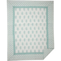 Avani Sea Glass Twin Quilt 68Wx86L VHC Brands - The Fox Decor