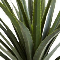 Thumbnail for Spiked Agave Plant, 4' - The Fox Decor