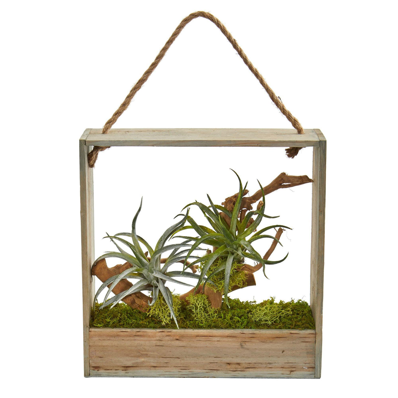 Air Plant Artificial Succulent In Decorative Hanging Frame - The Fox Decor