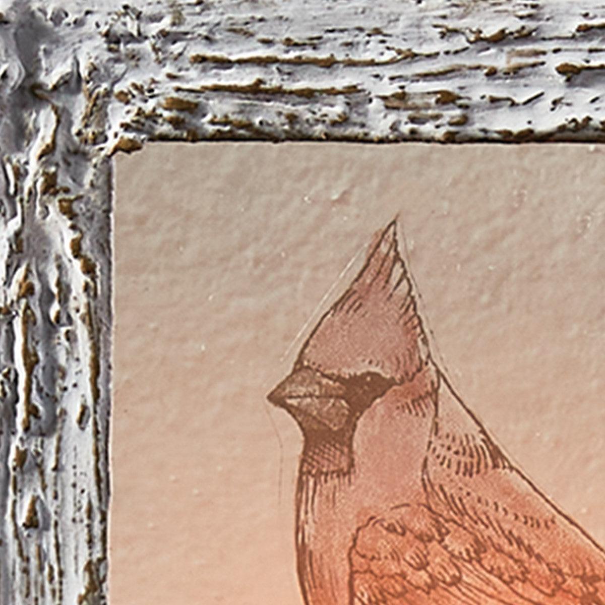 Wild And Beautiful Cardinal Night Light - Park Designs - The Fox Decor