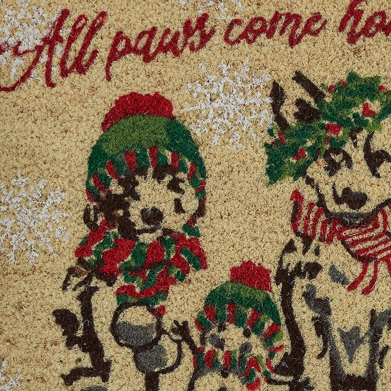 All Paws Come Home Doormat 18" X 30" Park Designs