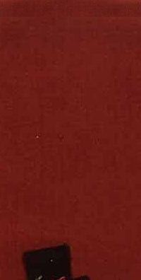Thumbnail for Snow Guy Towel Set Of Two ETAR0082 - The Fox Decor