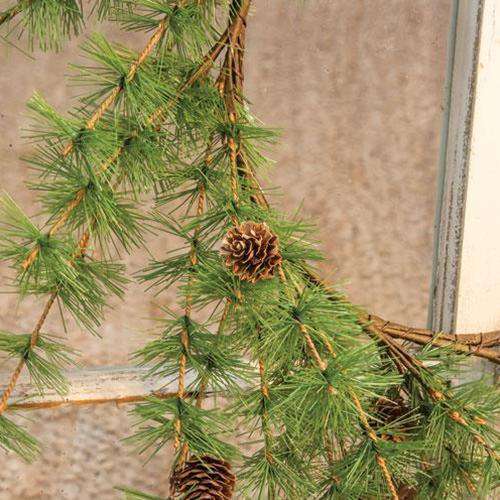 Tahoe Wreath with Pinecones, 22" - The Fox Decor