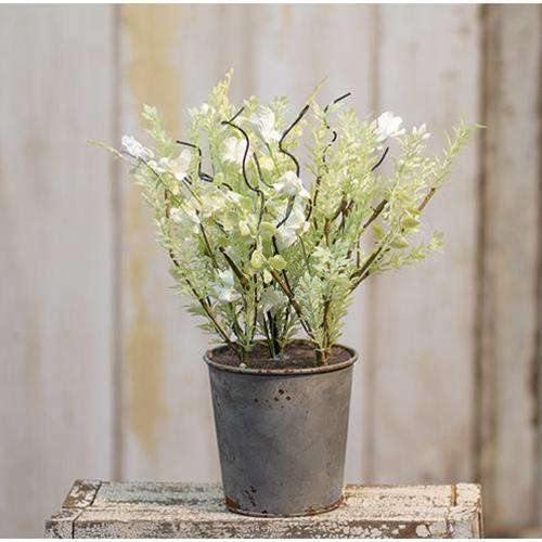 White Lobelia Potted Ornamental Plant