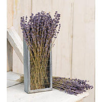 Thumbnail for Dried Lavender Bunch, 13
