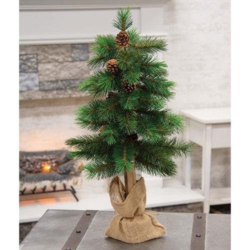 Royal Oregon Pine Tree With Burlap Base, 30"