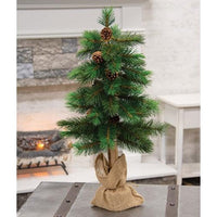Thumbnail for Royal Oregon Pine Tree With Burlap Base, 30