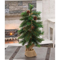Thumbnail for Royal Oregon Pine Tree With Burlap Base, 24