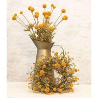 Thumbnail for Fall Wind Dancer Bush, 23