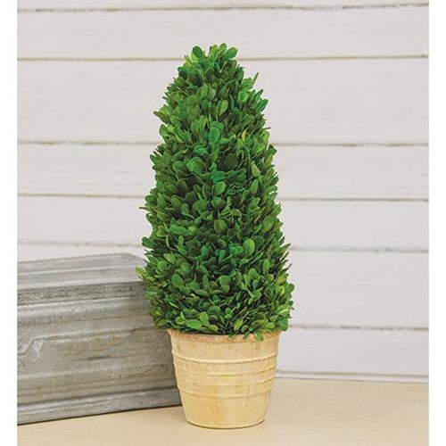 Preserved Boxwood Cone Tree, 16"H - The Fox Decor