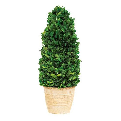 Preserved Boxwood Cone Tree, 16"H - The Fox Decor