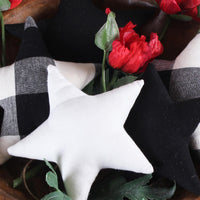 Thumbnail for Farmhouse Star Fills Set of 5 FL000056 - The Fox Decor