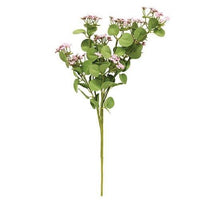 Thumbnail for Queen Ann's Lace Spray, Pink - The Fox Decor
