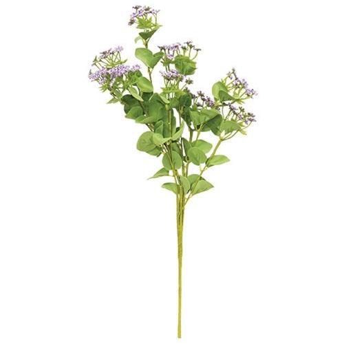 Queen Ann's Lace Spray, Purple