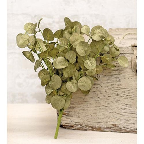 Foamy Silver Dollar Bush, Sage, 12" - The Fox Decor